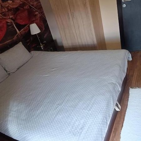 Apartment Vila Sandra Zlatibor Kültér fotó