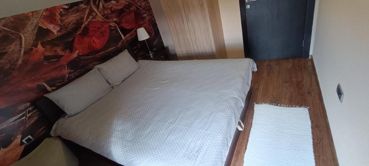 Apartment Vila Sandra Zlatibor Kültér fotó